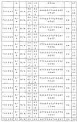 Figure 0007646616000090