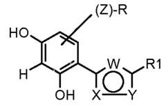Figure imgf000004_0001