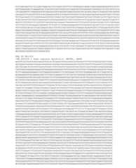 Figure imgf000635_0001