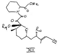 Figure imgf000012_0001