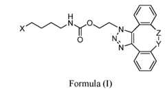 Figure imgf000005_0002