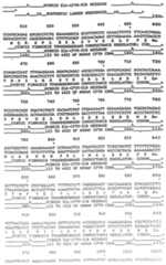 Figure imgf000071_0001