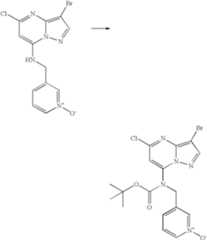 Figure US07119200-20061010-C00698