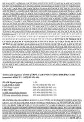 Figure imgf000078_0001