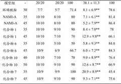 Figure DEST_PATH_IMAGE003