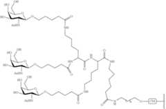 Figure US10793862-20201006-C00208