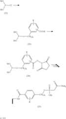 Figure US10077440-20180918-C00014