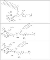 Figure imgf000056_0001