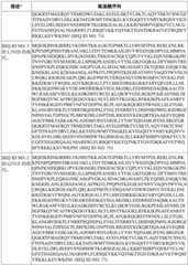 Figure BDA0003627552160000931