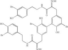 Figure US06734211-20040511-C00018