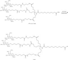 Figure US11596646-20230307-C00309