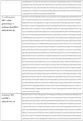 Figure imgf000096_0001