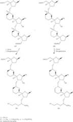 Figure US10221416-20190305-C00078