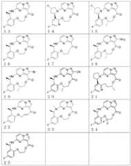 Figure 0007128345000008