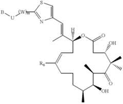 Figure US06867305-20050315-C00064