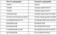 Figure imgf000051_0001