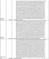 Figure imgf000066_0001