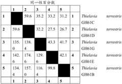 Figure BDA0003176636160001001