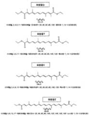 Figure 112007066804814-pct00011