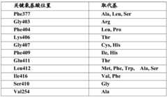 Figure BDA0002515130670000211