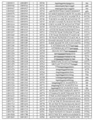 Figure imgf000587_0001