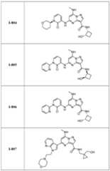 Figure imgf000247_0001