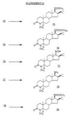Figure imgf000051_0001