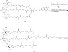 Figure US10793862-20201006-C00244