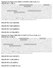 Figure imgf000032_0001