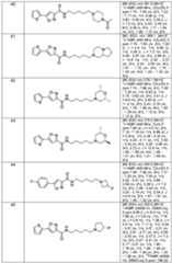Figure imgf000051_0001