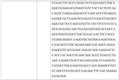 Figure imgf000093_0001