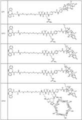 Figure FDA0002889616210000621