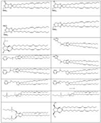 Figure imgf000039_0001