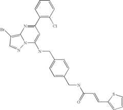 Figure US07119200-20061010-C02637