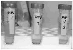 Figure imgf000044_0002