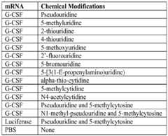 Figure imgf001007_0001