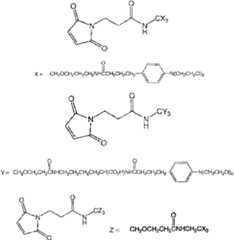 Figure imgf000111_0001