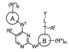 Figure 112016119396583-pat00131