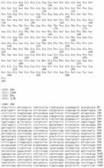 Figure IDA00002091897102521