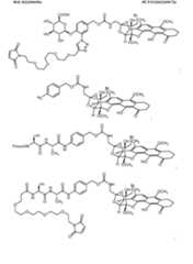 Figure imgf000269_0001