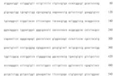 Figure 108123466-A0305-02-0508-431