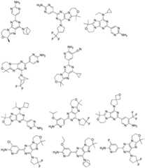 Figure FDA0002486010530000271