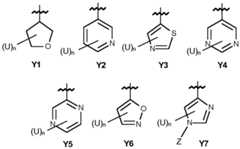 Figure imgf000014_0001