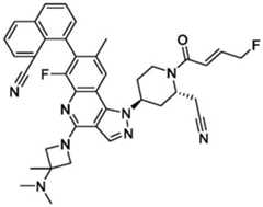 Figure BDA0003993773060003021