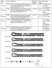 Figure imgf000217_0001