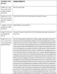 Figure BDA0003154168970000421