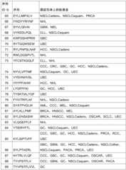 Figure BDA0002778222890001211