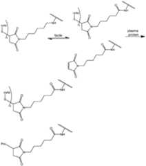 Figure imgf000091_0001