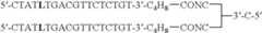 Figure US07851453-20101214-C00004