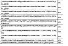 Figure 2022120155000131